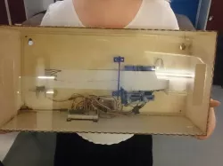 Mightytronics Plot Clock!