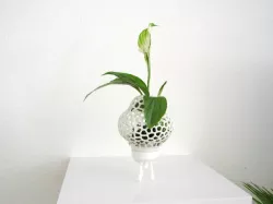 Mini Plant Space Rocket with Pot