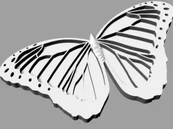 Morpho Butterfly