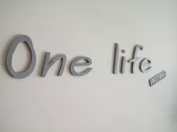 One life - live it
