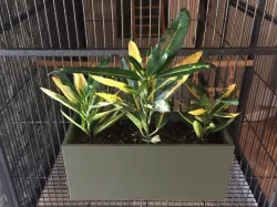 Plant Container for Cage