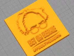 Bernie Sanders - FEEL THE BERN ! Plaque