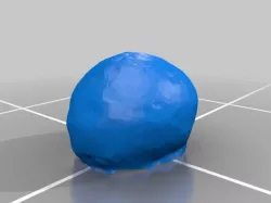 Brain