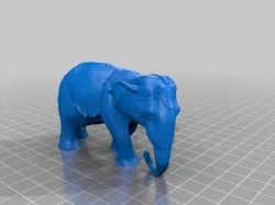 Copy of Elephant