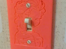Frozen Light Switch Cover