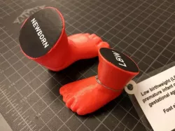 Infant Foot Models - three sizes
