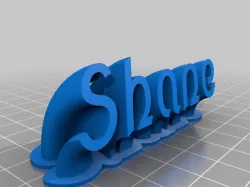 My Customized Sweeping name plate- Shane