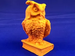 The Studious Owl