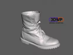 Timberland Shoe Scan