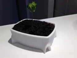 Bonsai pot