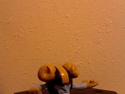 boxer