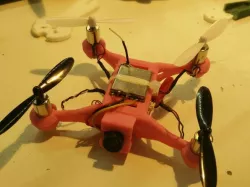 Bug Splash - Anisoptera Racer