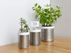 Campbell Planter - Fully 3D Printed Self-Watering Planter