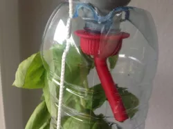 DIY-Windowfarm