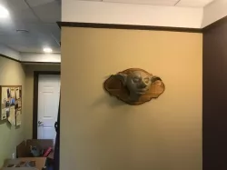 Elf Head