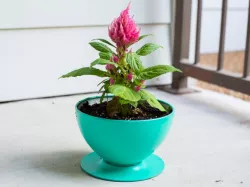IKEA Lamp - Flower Pot Conversion