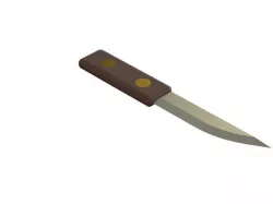Knife with interchangeable blades