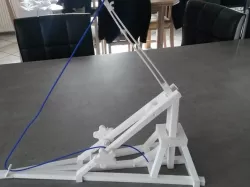 Leonardo Da Vinci Catapult