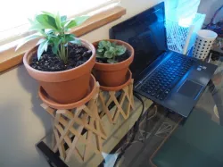 Plant Booster/Risers