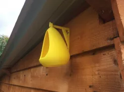 Support Bird feeder