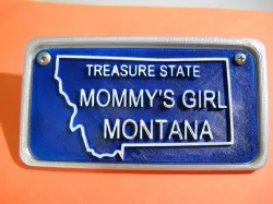 bycycle or trycycle License plates and frame and bracket