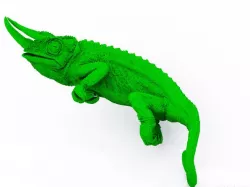 Chameleon from CT Scans