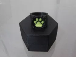 Chat Noir's Ring