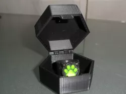Miraculous container box