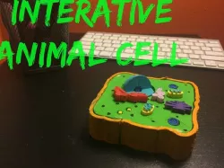 Multi-Layer Interactive Animal Cell