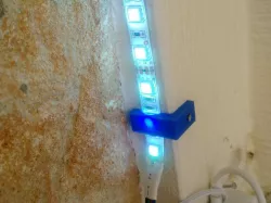 Oak Leaf Led Hook