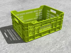 Plastic Fruit Boxes