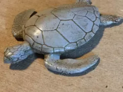 Sea Turtle