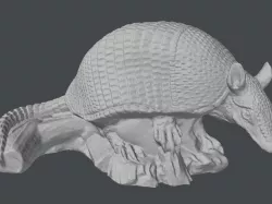 Armadillo