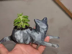 Cat Pot