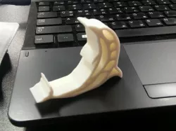 dolphin phone holder