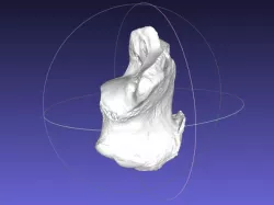 High resolution Human Calcaneus (Heel Bone) Scan