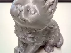 Kitten