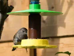 Mix and Match Birdfeeder
