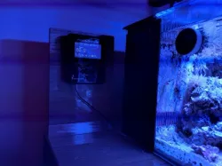 Neptune Apex Display bracket