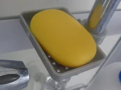 Parametric soap dish for shower