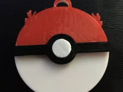 Pokeball and team keychain/ token