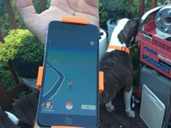 Pokegauntlet