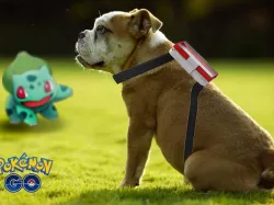 pokemon go doggysitter