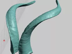 Real Evil Satan Goat Horns, High Resolution Scans