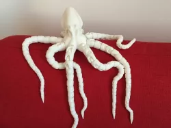 Realistic Octopus rounded and boxed