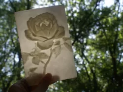 Rose More-Than-a-Lithophane