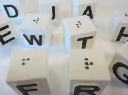 Braille and large print alphabet blocks