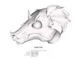 Dragon Head