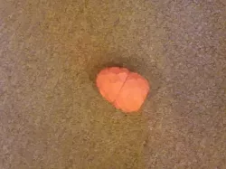 Egg Drop Lab - 3D Print Edition