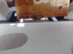 Extruder Camera Mount